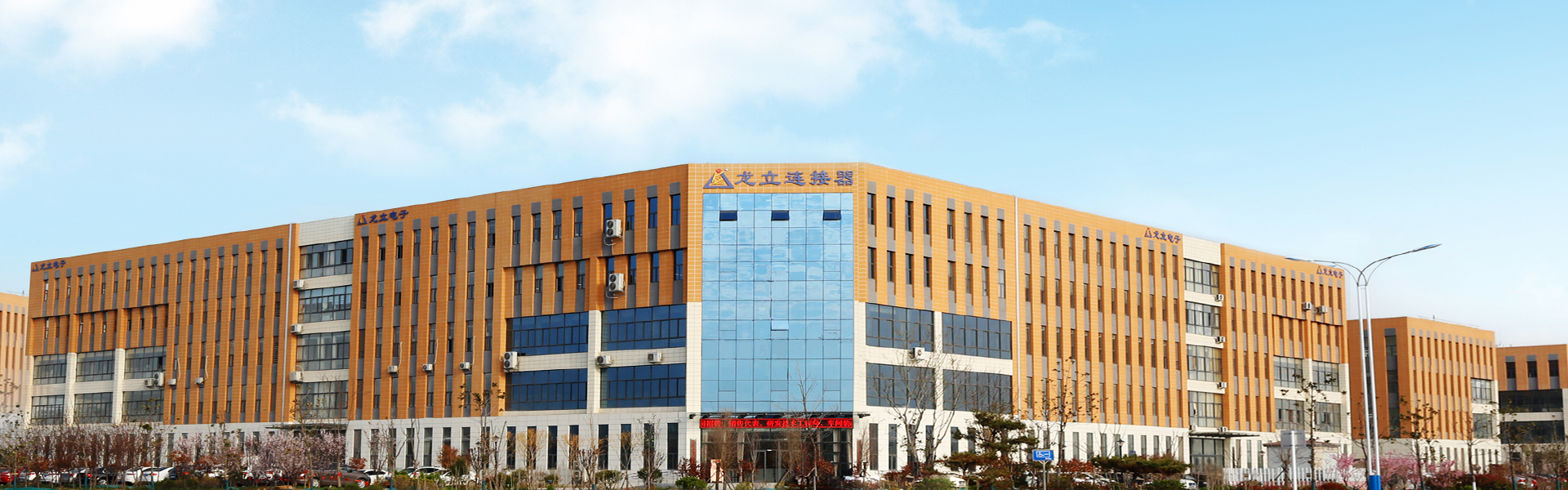 龍立電子順利通過制造業(yè)單項冠軍企業(yè)復(fù)核，續(xù)寫行業(yè)輝煌篇章